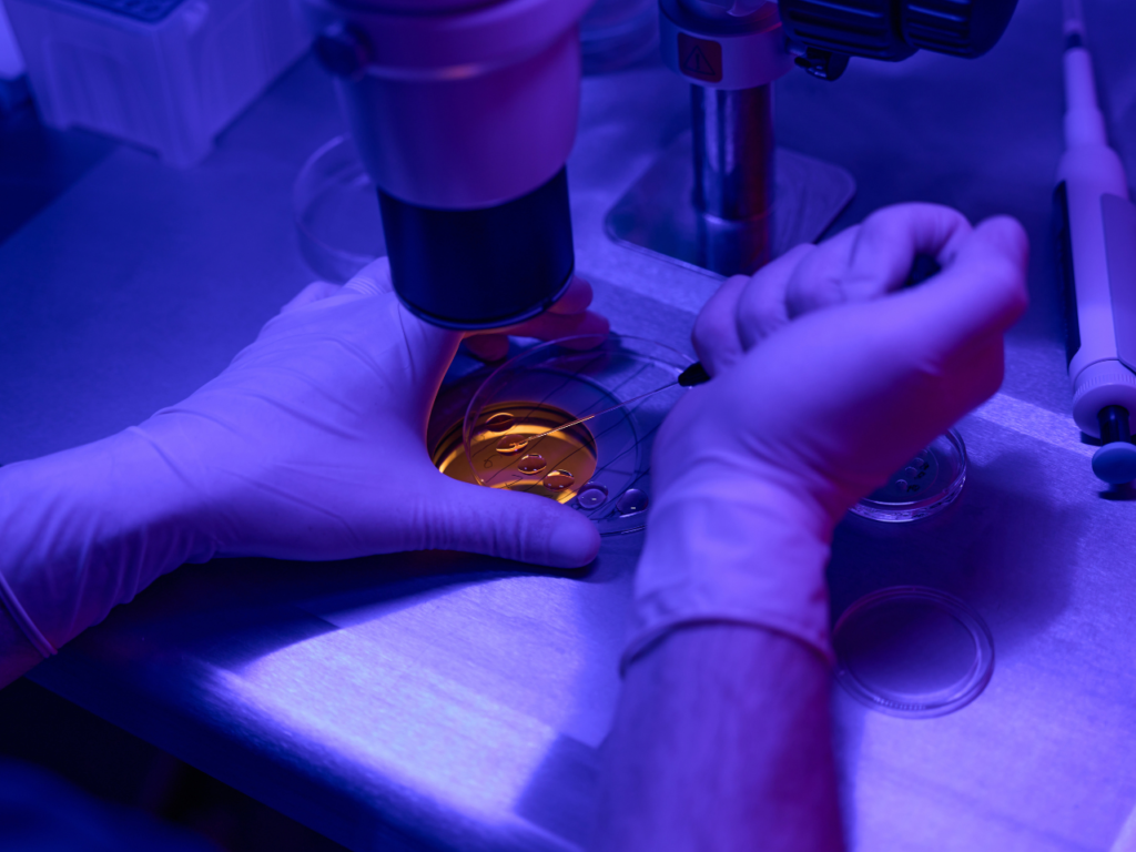 Embryo Freezing