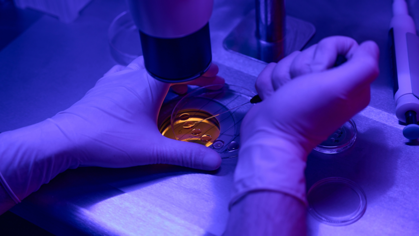 Embryo Freezing