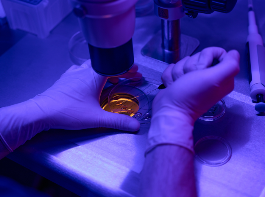 Embryo Freezing