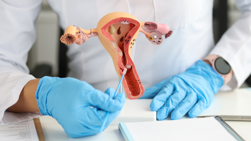Endometrial Resection