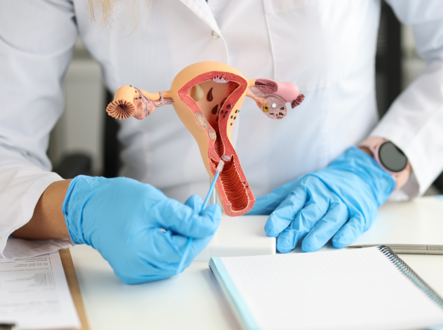 Endometrial Resection