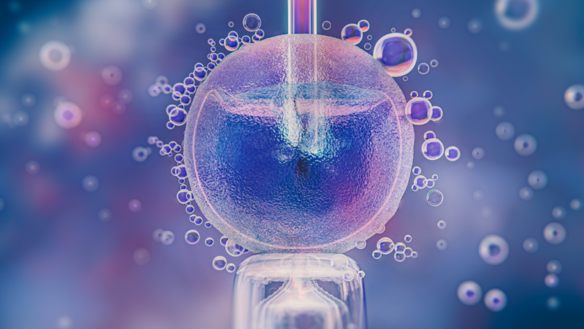 Intracytoplasmic Morphologically Selected Sperm Injection (IMSI)