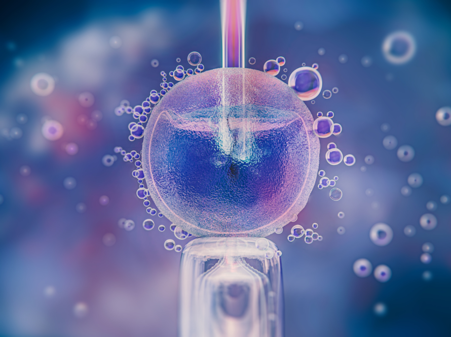 Intracytoplasmic Morphologically Selected Sperm Injection (IMSI)