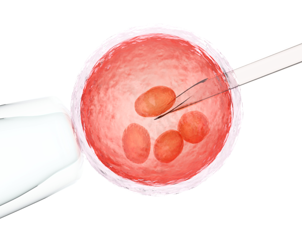 Oocyte Freezing
