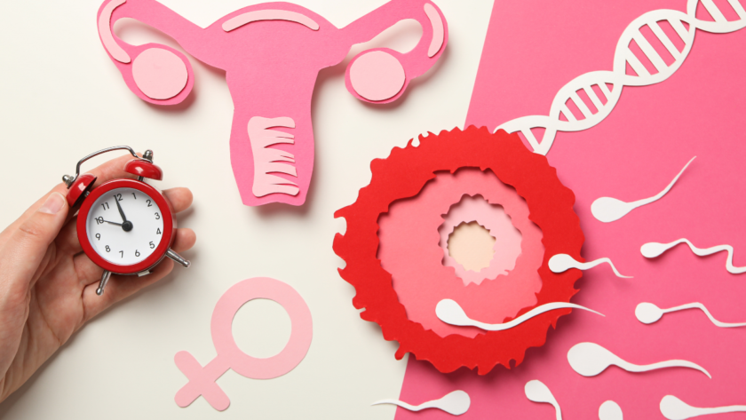 Ovulation Induction