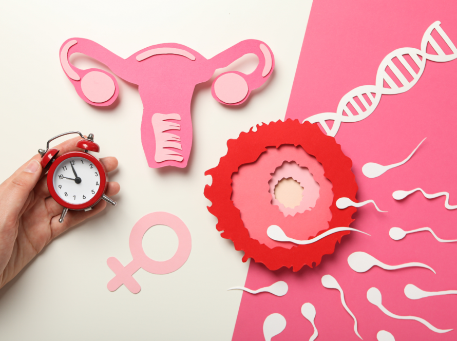 Ovulation Induction