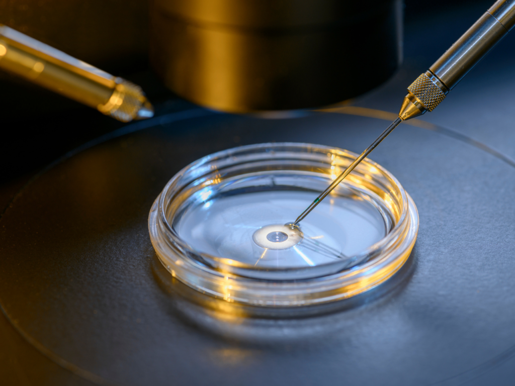 IVF Success