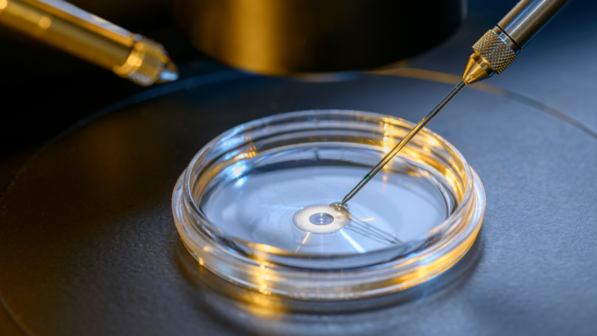 IVF Success