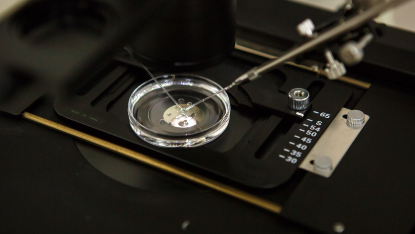 How to Prepare Your Body for IVF