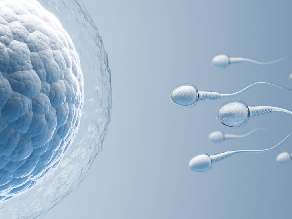 Fertility