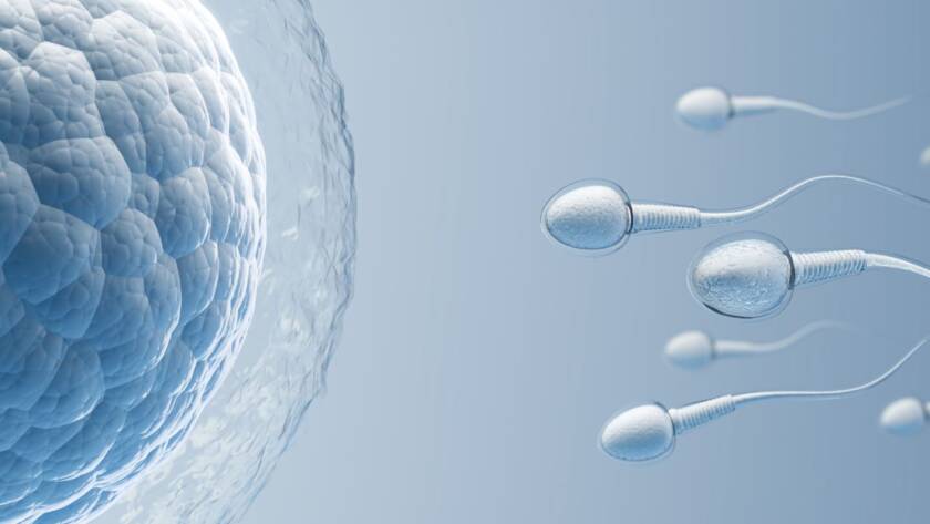 Fertility