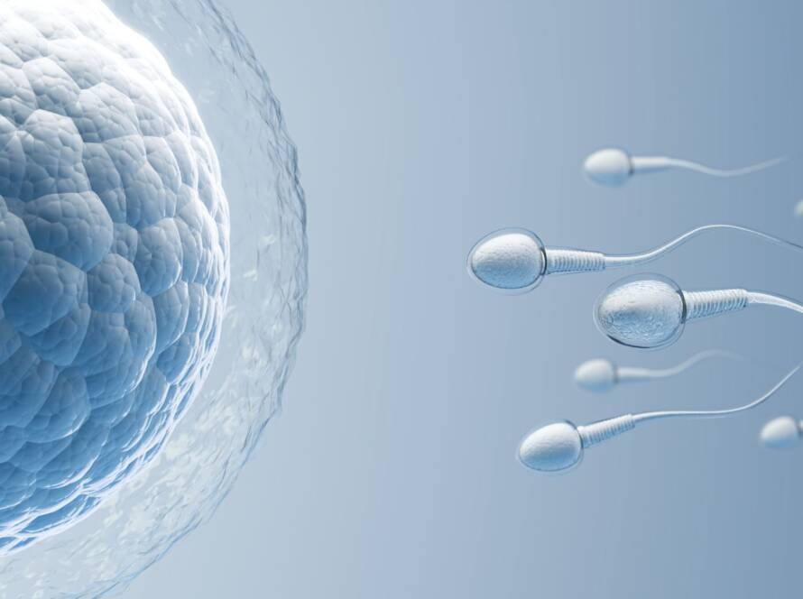 Fertility