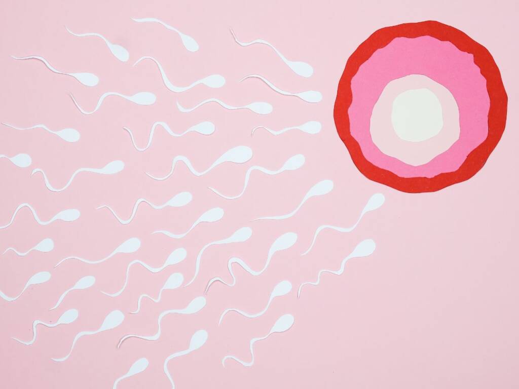 Fertility Tips