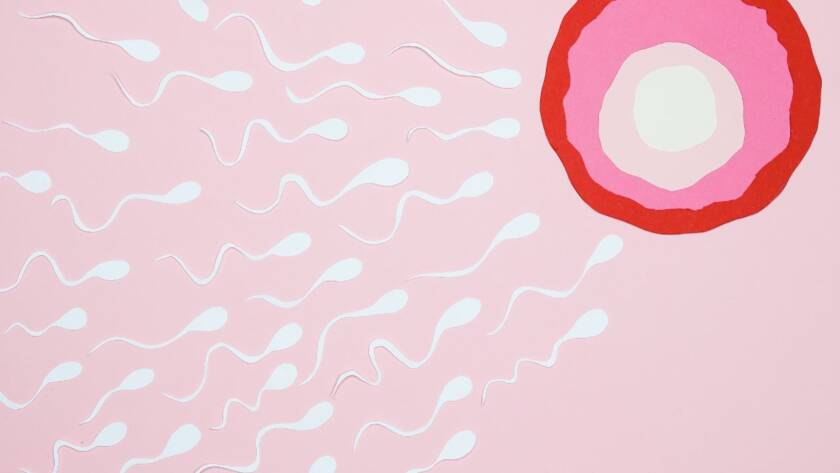 Fertility Tips