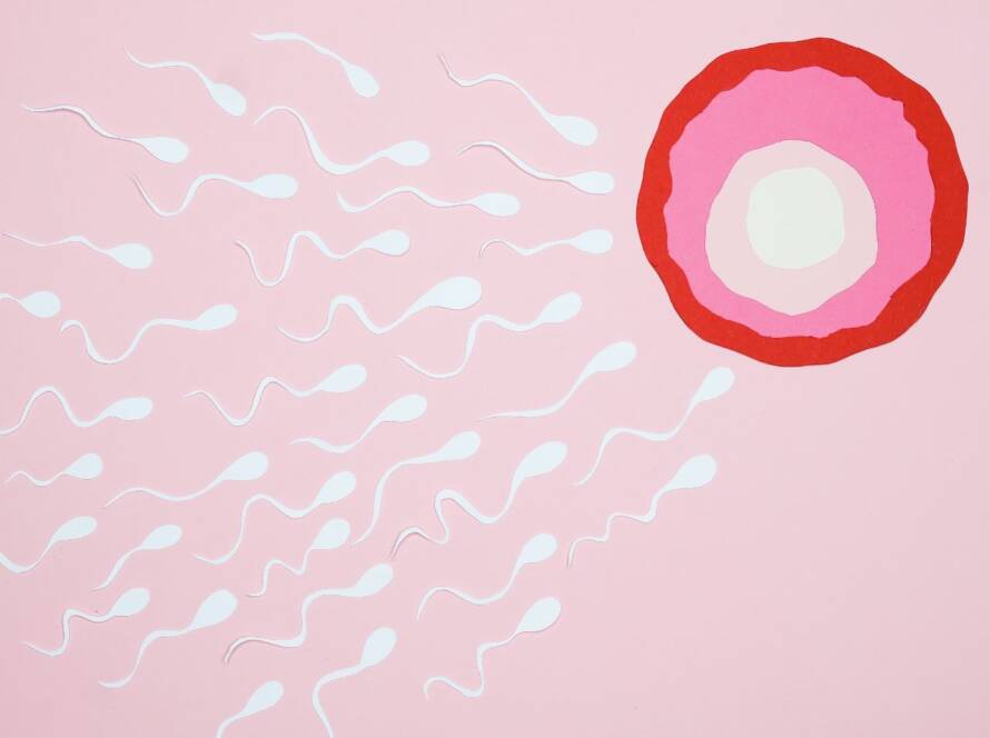 Fertility Tips