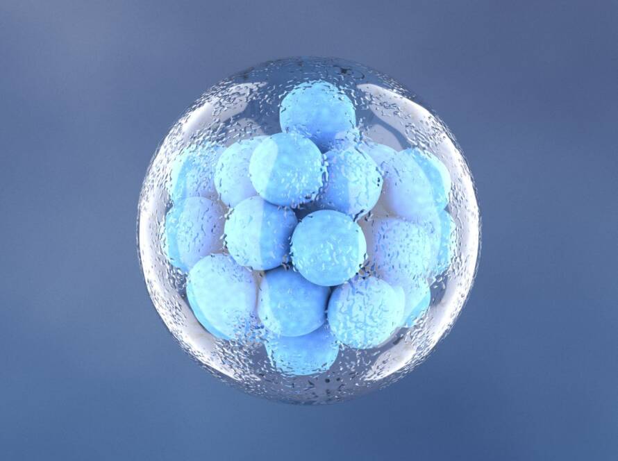 Frozen Embryo Transfer (FET) What to Expect and Success Rates