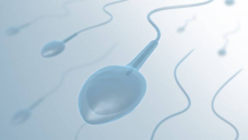 Sperm Freezing Explained: When and Why It’s the Right Choice