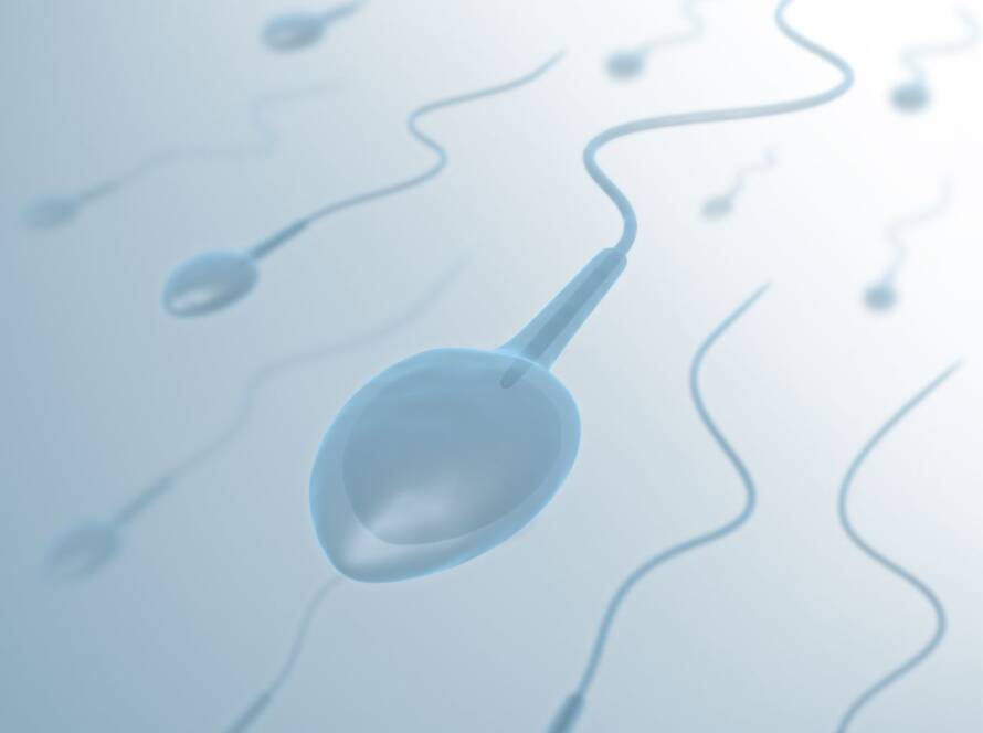 Sperm Freezing Explained: When and Why It’s the Right Choice